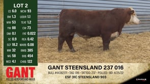 Lot #2 - GANT STEENSLAND 237 016
