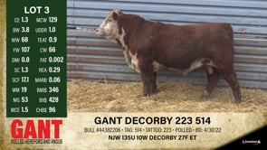 Lot #3 - GANT DECORBY 223 514