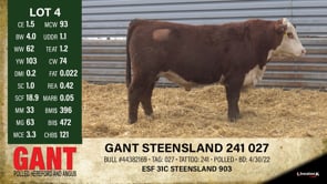 Lot #4 - GANT STEENSLAND 241 027