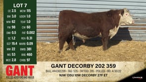 Lot #7 - GANT DECORBY 202 359