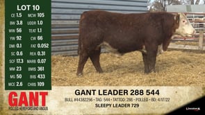 Lot #10 - GANT LEADER 288 544