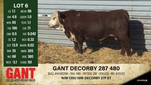 Lot #6 - GANT DECORBY 287 480