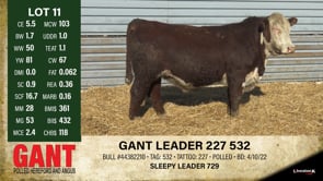 Lot #11 - GANT LEADER 227 532
