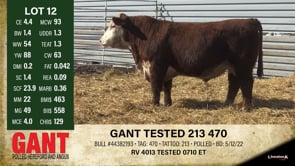 Lot #12 - GANT TESTED 213 470