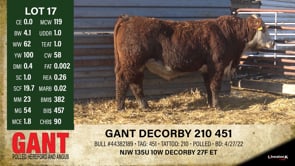 Lot #17 - GANT DECORBY 210 451