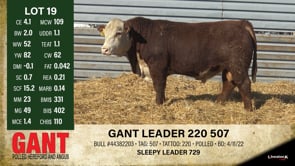 Lot #19 - GANT LEADER 220 507