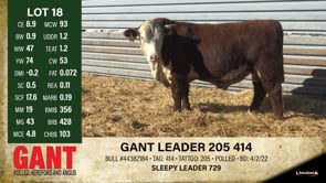 Lot #18 - GANT LEADER 205 414