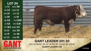 Lot #24 - GANT LEADER 201 20