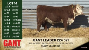 Lot #14 - GANT LEADER 224 521
