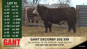 Lot #13 - GANT DECORBY 202 359