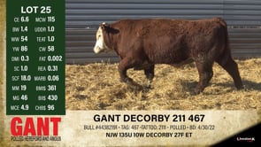 Lot #25 - GANT DECORBY 211 467