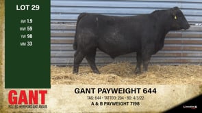 Lot #29 - GANT PAYWEIGHT 644