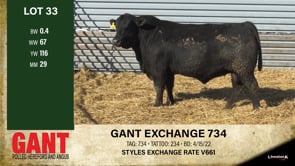 Lot #33 - GANT EXCHANGE 734