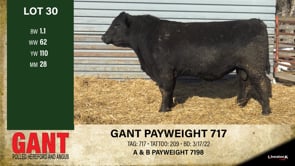 Lot #30 - GANT PAYWEIGHT 717