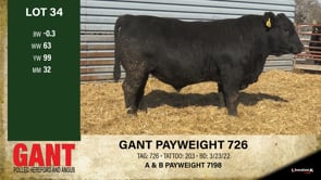 Lot #34 - GANT PAYWEIGHT 726