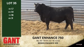 Lot #35 - GANT ENHANCE 750