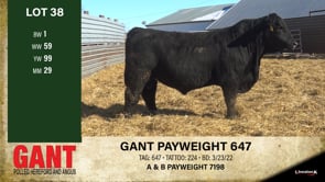 Lot #38 - GANT PAYWEIGHT 647