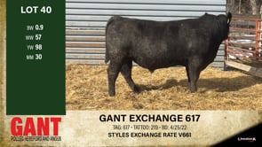 Lot #40 - GANT EXCHANGE 617