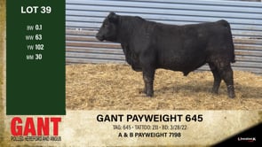 Lot #39 - GANT PAYWEIGHT 645