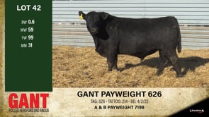 Lot #42 - GANT PAYWEIGHT 626