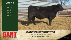 Lot #44 - GANT PAYWEIGHT 708