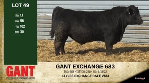 Lot #49 - GANT EXCHANGE 683