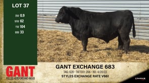 Lot #37 - GANT EXCHANGE 683