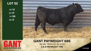 Lot #52 - GANT PAYWEIGHT 686