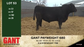 Lot #53 - GANT PAYWEIGHT 680