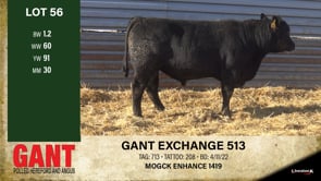 Lot #56 - GANT ENHANCE 513