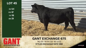 Lot #45 - GANT EXCHANGE 675