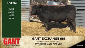 Lot #54 - GANT EXCHANGE 661