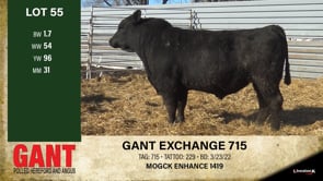 Lot #55 - GANT ENHANCE 715