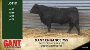 Lot #51 - GANT ENHANCE 755