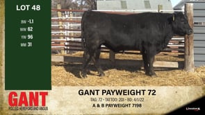 Lot #48 - *** OUT *** GANT PAYWEIGHT 72