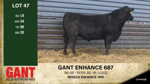 Lot #47 - GANT ENHANCE 687