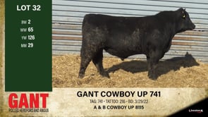 Lot #32 - GANT COWBOY UP 741