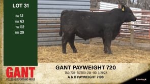 Lot #31 - GANT PAYWEIGHT 720