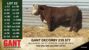 Lot #23 - GANT DECORBY 235 577