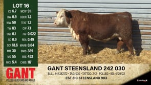 Lot #16 - GANT STEENSLAND 242 030