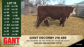 Lot #15 - GANT DECORBY 216 489