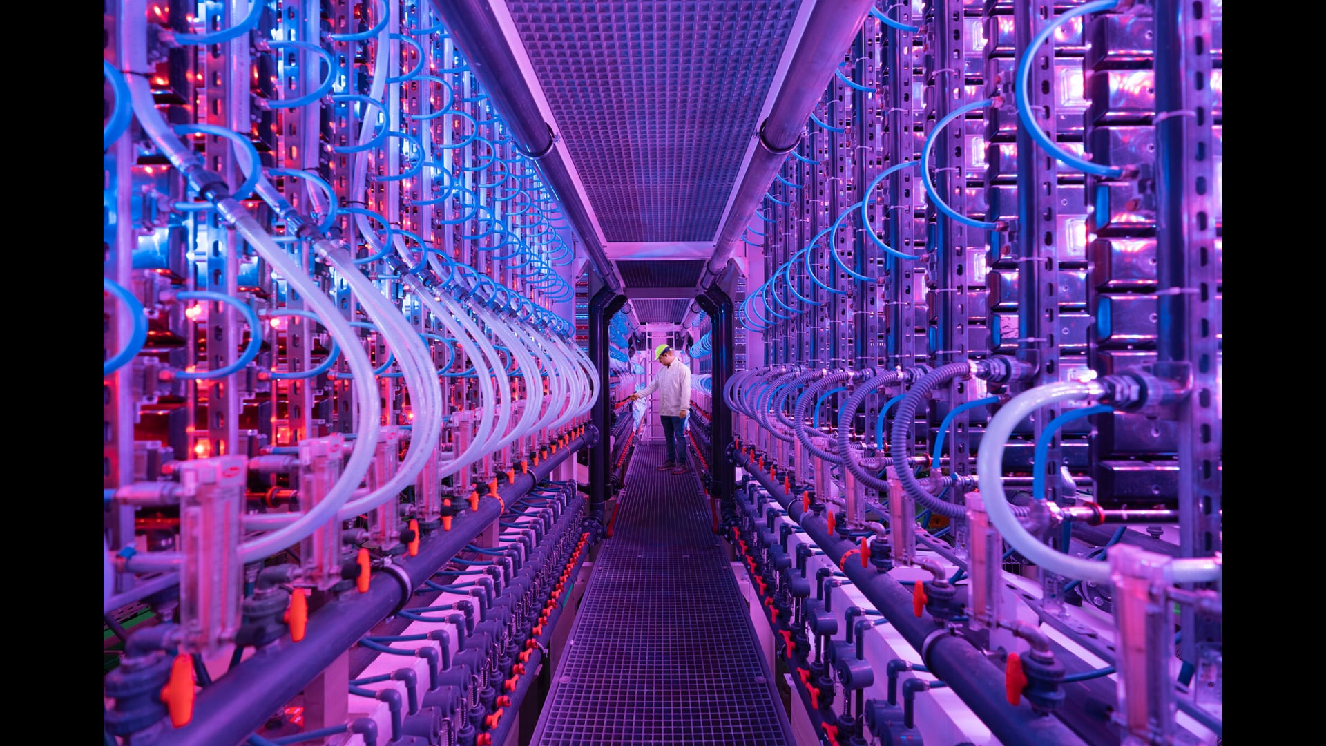 Did you know there's a giant vacuum in Iceland sucking CO2 from the air?