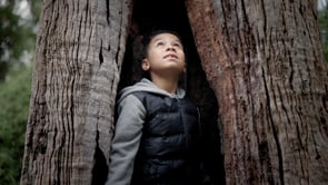 Related Embedded Video Item Thumbnail