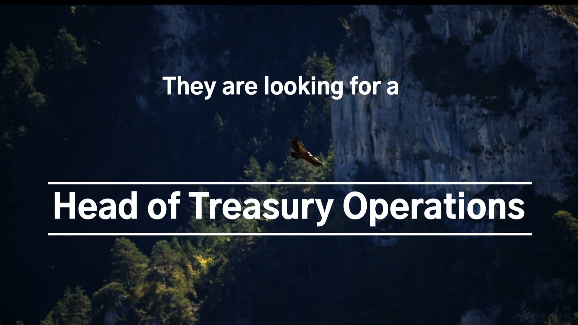 Head of Treasury Operations