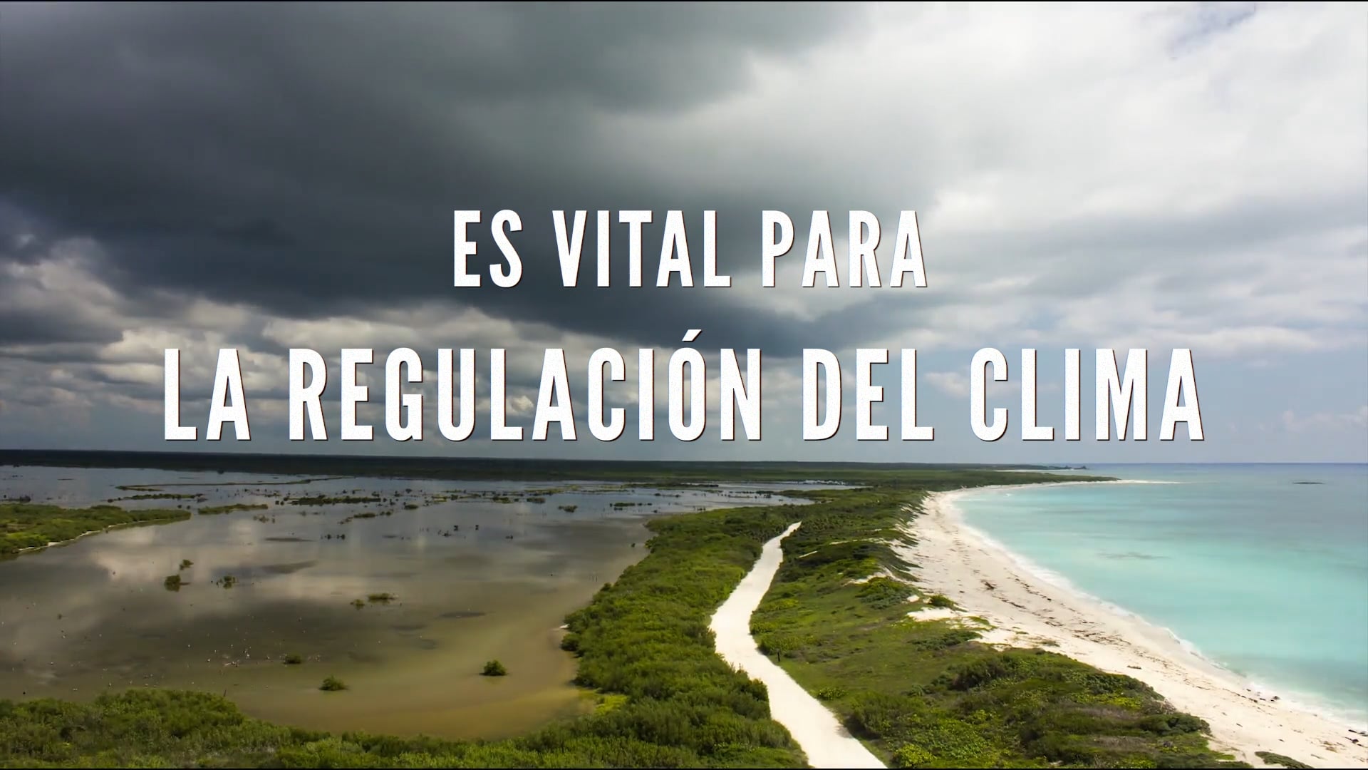 Coalición Verde (ESP)