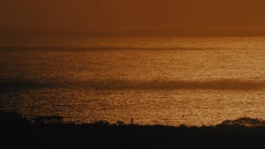 social header