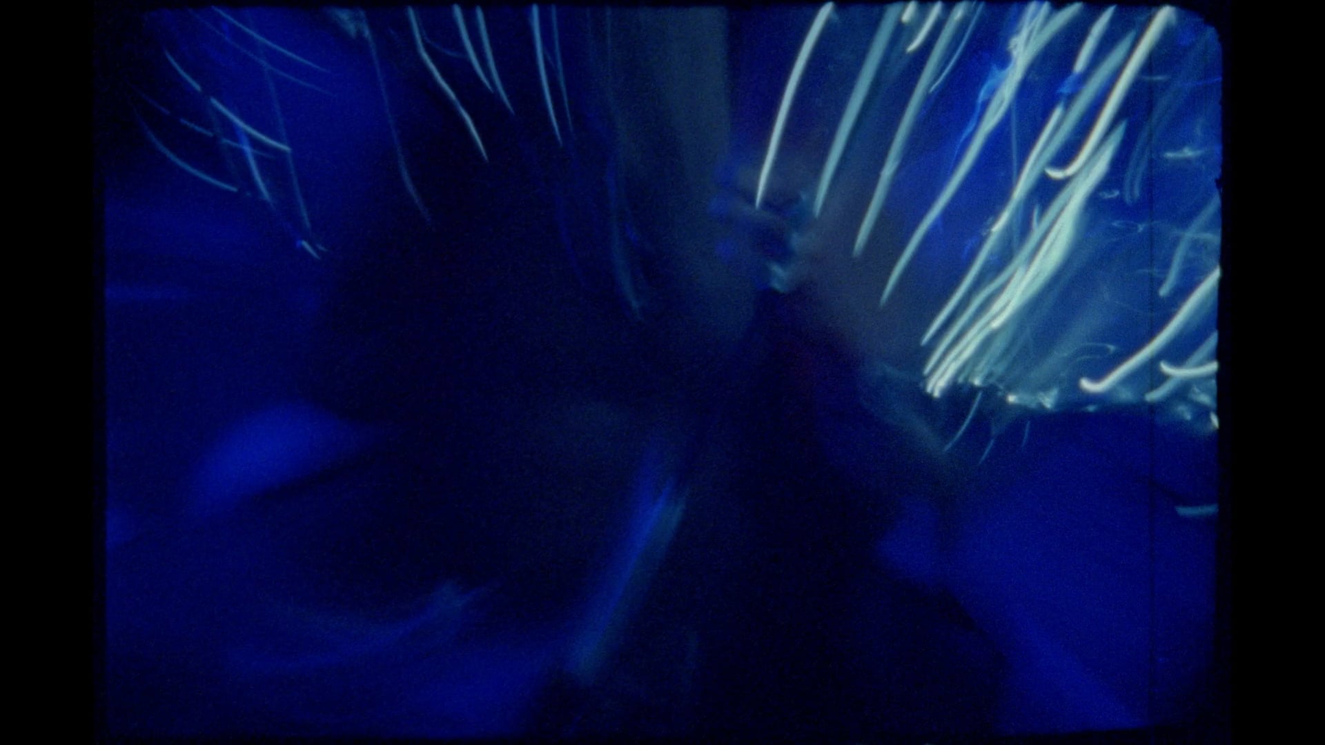 Speakman Sound: LIMBIC (Official Visual E.P)