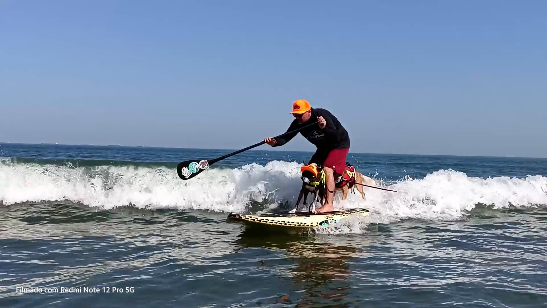 Xiaomi Mini Docs - Augusto e o Surfdog.