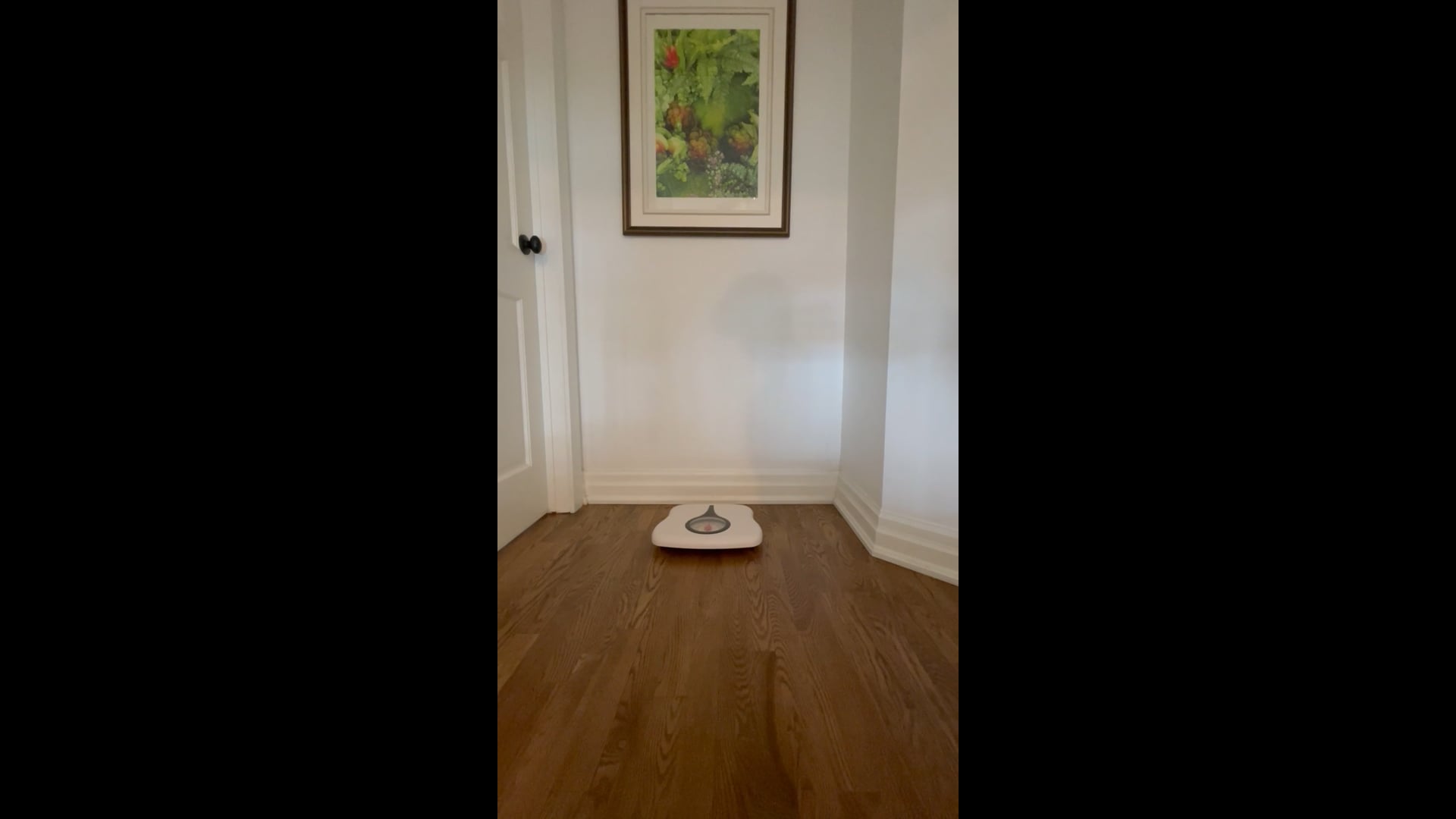 Watch PurpleShift athlete's Weight: 118 pounds