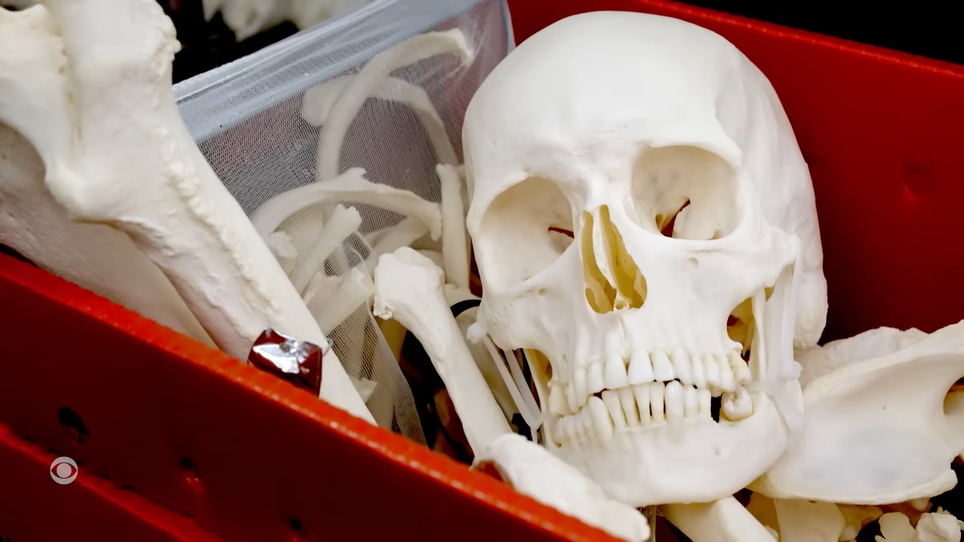 CBS Reports - Body Brokers, 2023